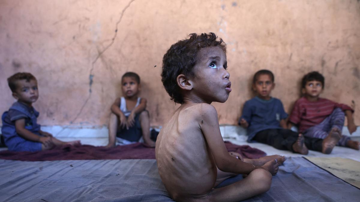 Over 100 NGOs warn of mass starvation in Gaza, demand ceasefire