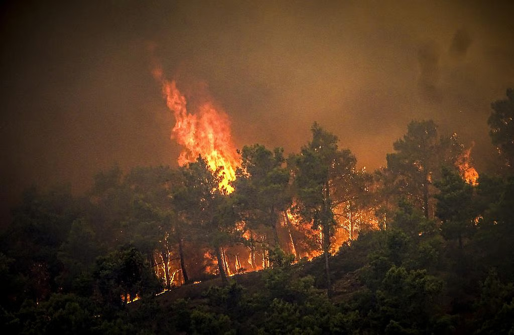 North east India’s is burning—are we ignoring a major climate warning?