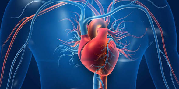 Hidden Heart Attack Triggers: It’s Not Just Cholesterol!
