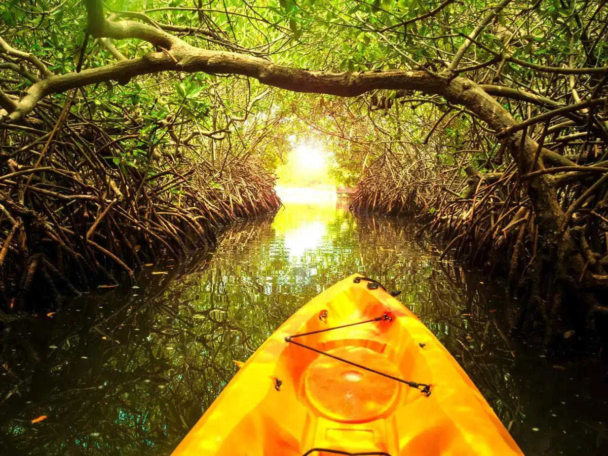 Discover a monsoon Goa even locals want to keep hidden
