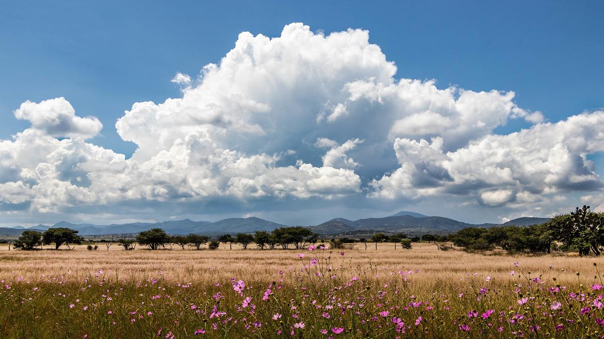Why Clouds take such Striking Shapes?