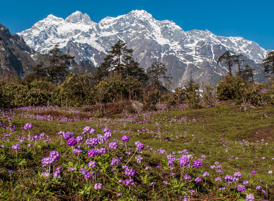 Hidden trails and Himalayan tales  Sikkim’s offbeat escapes