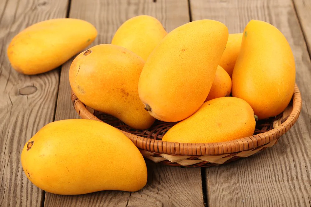 You’ll Never Believe What Mangoes Can Do to Your Body!