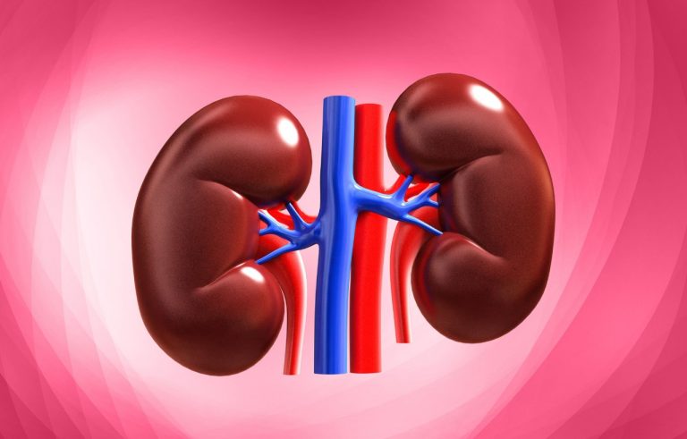 Still scared creatine ruins your kidneys? Doctors just debunked that myth