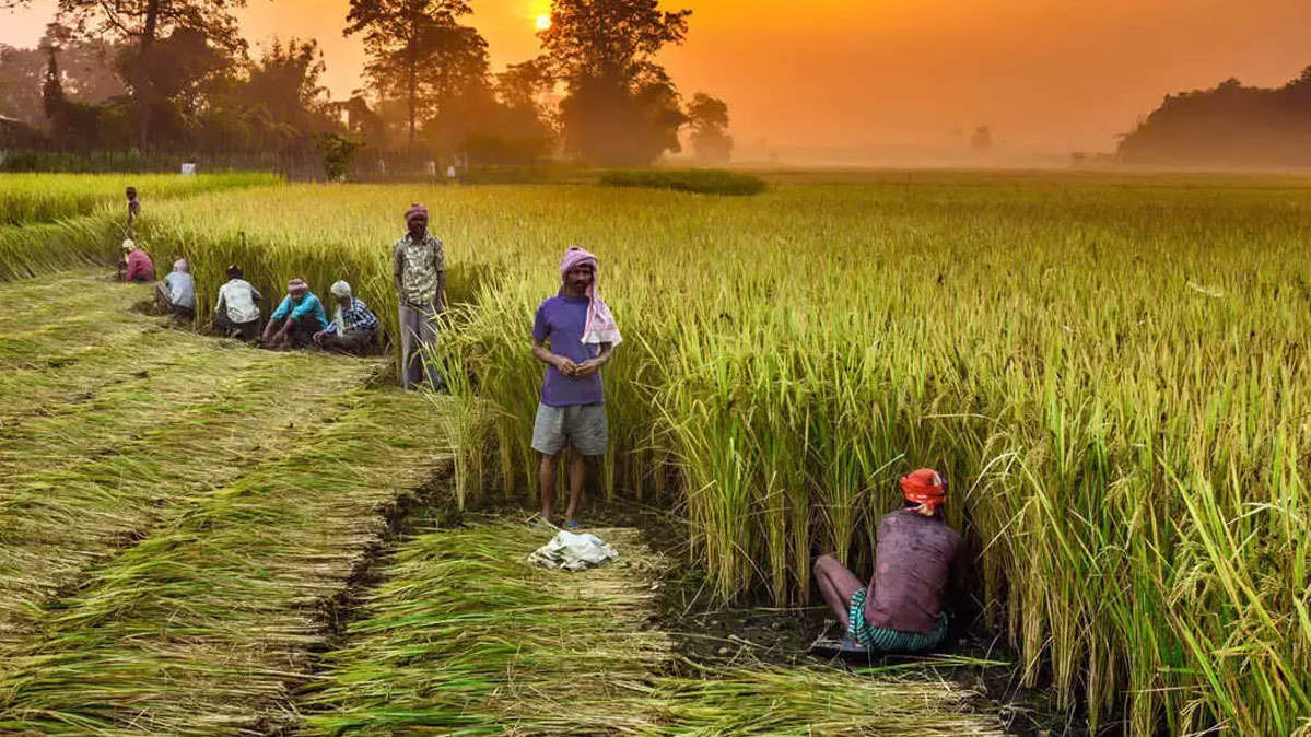 Why Indian farms are winning the export game!