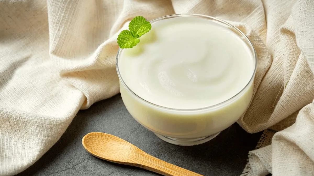 Eating curd in monsoon? You might be harming your immunity!