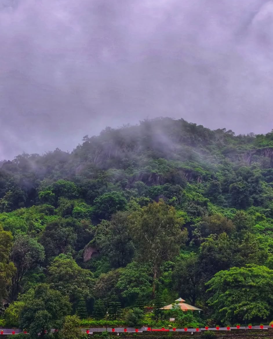 Mount Abu Shivers as Cold Wave Pushes Temperatures Down!