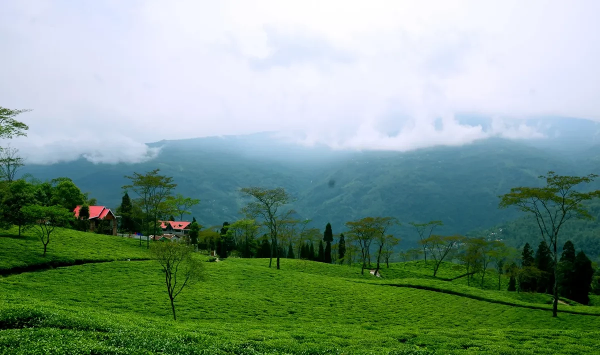 Darjeeling s overrated. North Bengal’s real magic is hidden here!