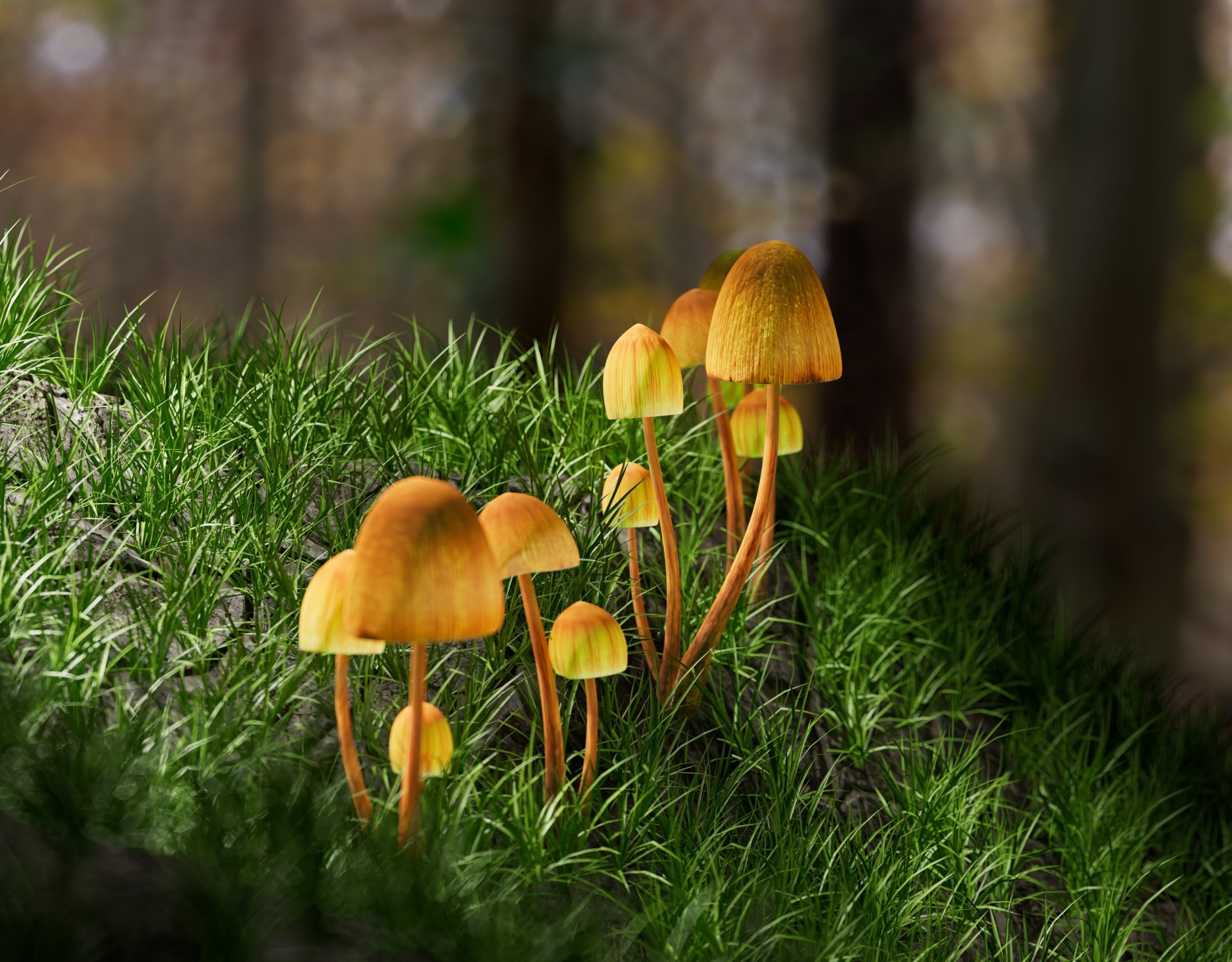 Magic mushrooms may do what medicine couldn’t, for Parkinson’s patients