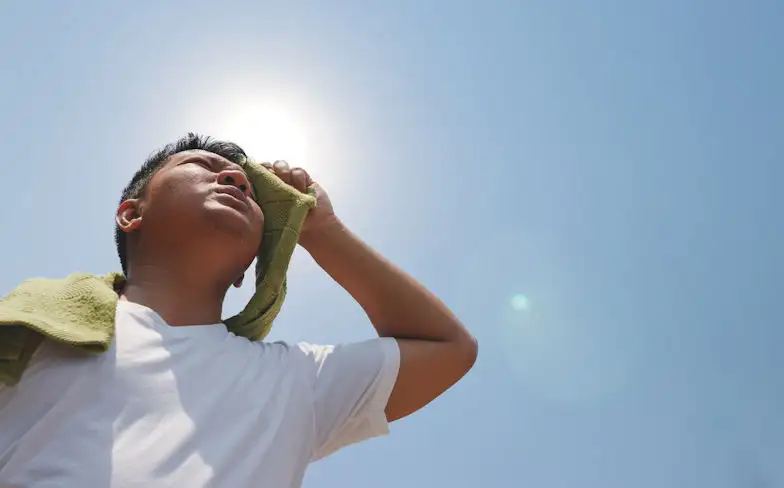 What extreme 40°C heat is secretly doing to your organs...