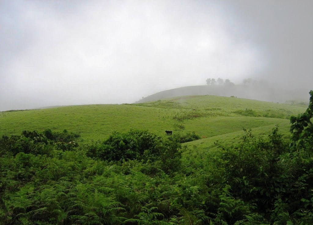 Hidden Kerala escapes locals swear by  visit before everyone else does!