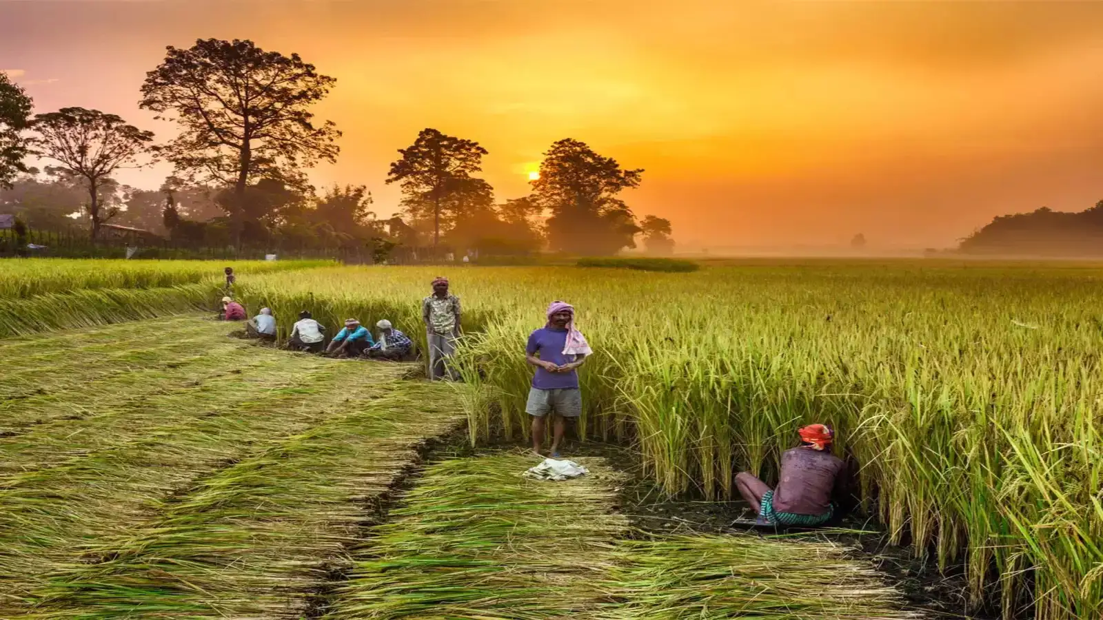 India is turning farm waste into fertility gold!