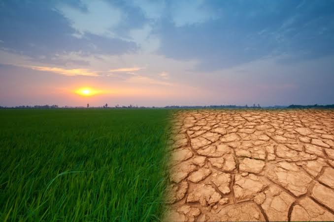 Why Heat Makes Countries Poor? Why Heat Makes Countries Poor?
