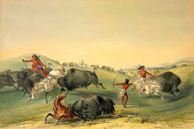 Why buffaloes are more than just an animal in Indian culture!