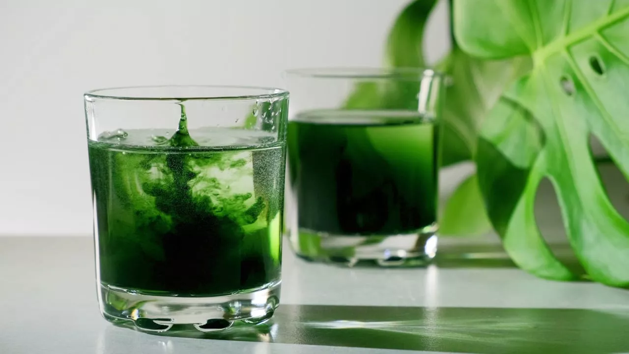 The Green Drink Everyone Is Talking About?