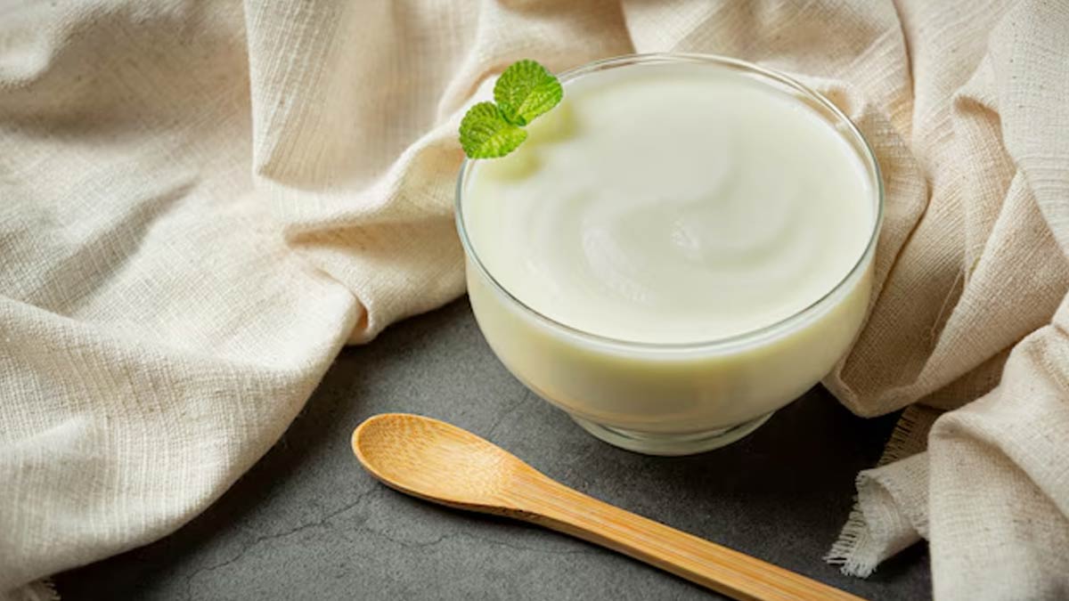 Curd vs Yoghurt: What's the Real Difference?