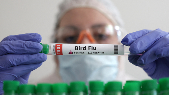 Bird flu hits the USA—CDC confirms human cases, one death reported
