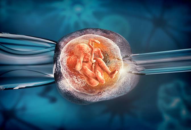 Myths around IVF, finally explained by doctors!