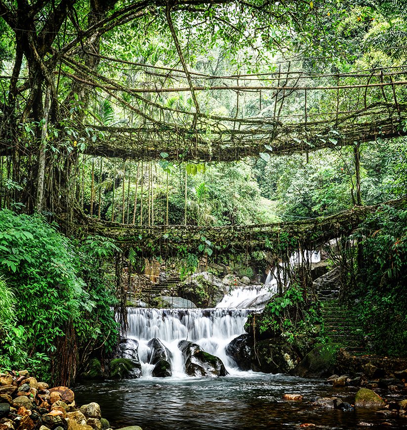 Monsoon magic unlocked  discover India’s wildest green getaways!
