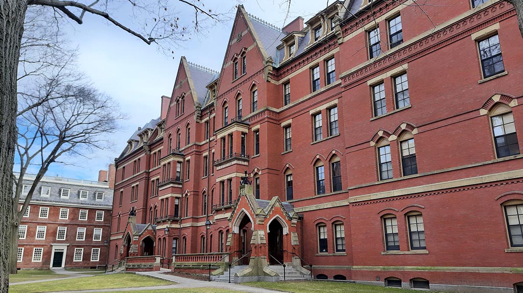 You won’t believe how much Harvard Economics costs in 2025!