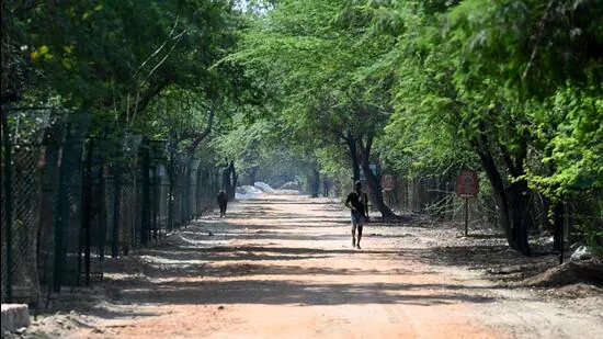 Noida’s Bird Paradise Is Dying - Can It Be Saved?