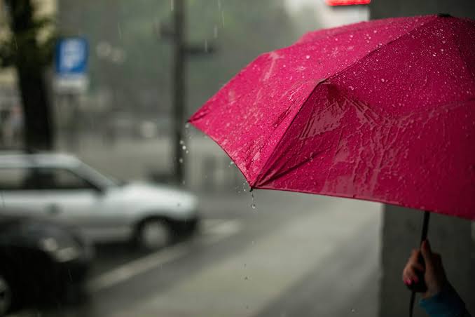 Rajasthan schools closed amid severe rainfall alerts.
